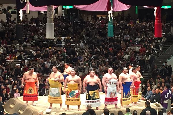 Sumo tournament in Tokyo